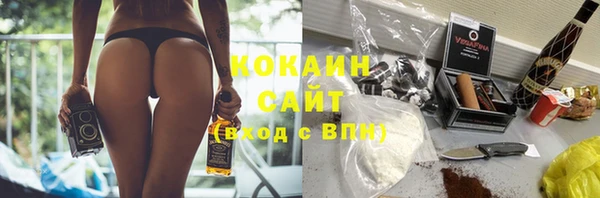 индика Богданович