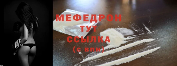 индика Богданович