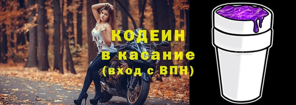 индика Богданович