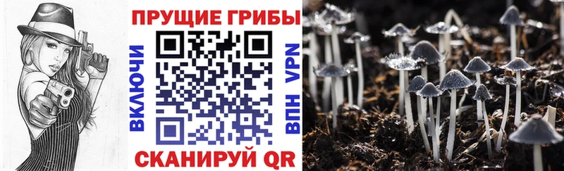 Галлюциногенные грибы мицелий  Надым 